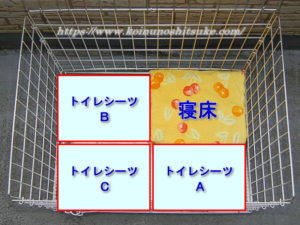 【参考画像】