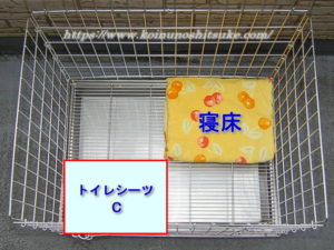 【参考画像】