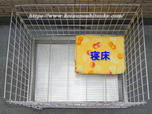 【参考画像】