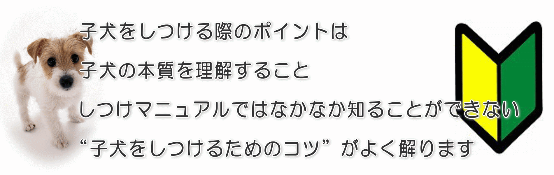 子犬をしつける際のポイントは子犬の本質を理解すること　マニュアルではなかなか知ることができない“子犬をしつけるためのコツ”がよく解ります