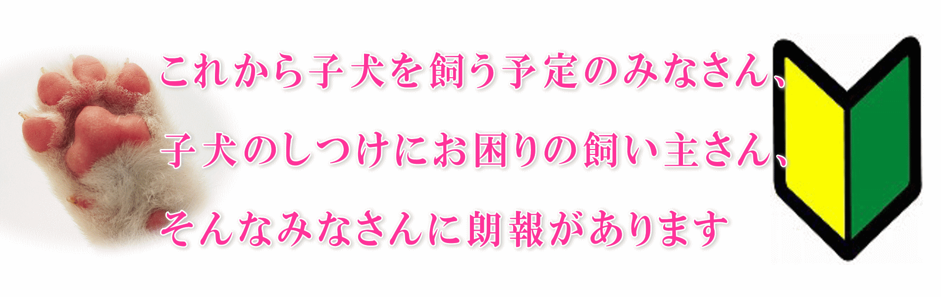 これから子犬を飼う予定のみなさん、子犬のしつけにお困りの飼い主さん、そんなみなさんに朗報があります